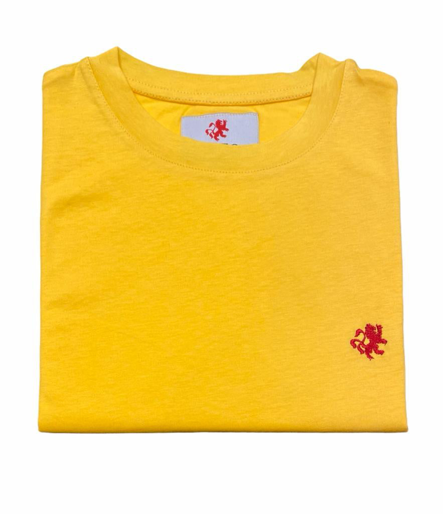 Enzo new T shirt Yellow